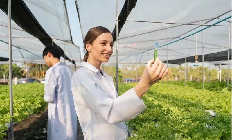 Revolutionizing Agriculture: The Green Gold Probio Liquid Foliar Fertilizer Agent